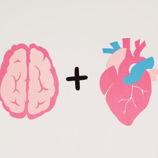brain and heart symbols on white background